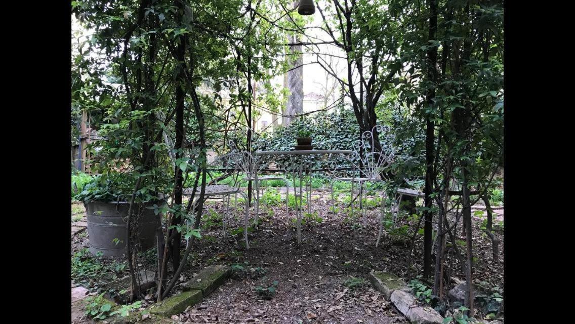雷焦艾米利亚Casa Luminosa Con Giardino In Centro Storico公寓 外观 照片