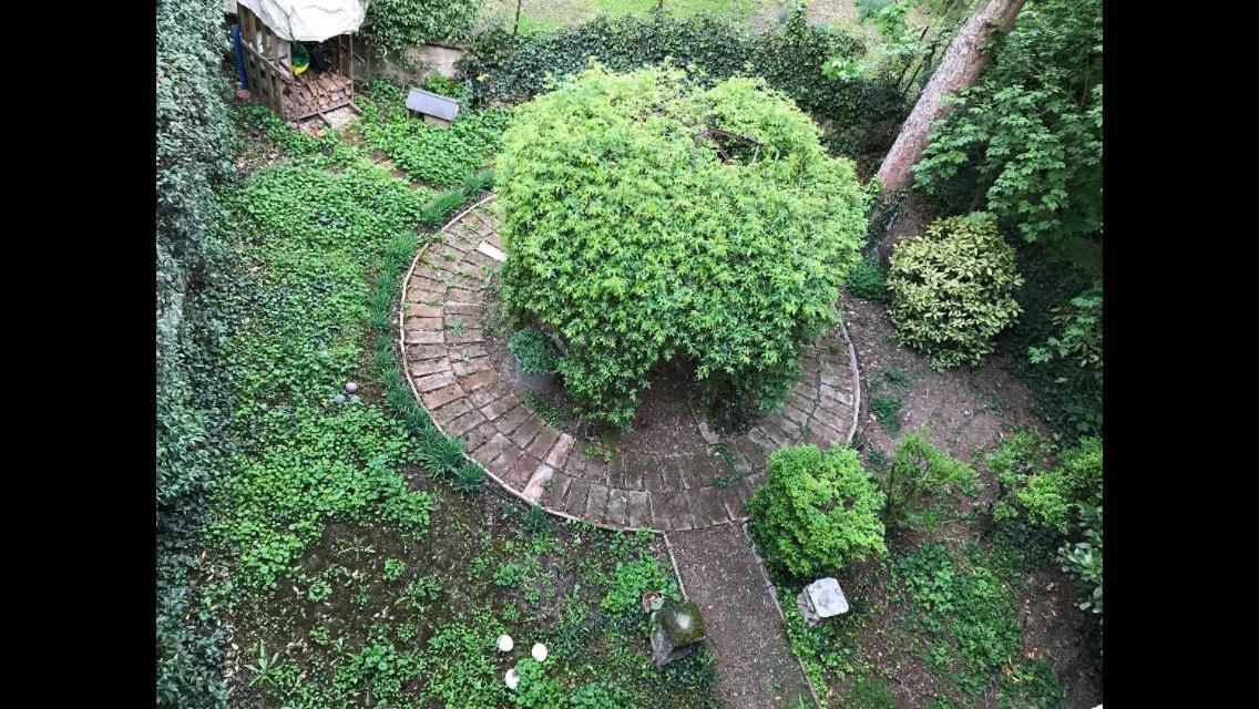 雷焦艾米利亚Casa Luminosa Con Giardino In Centro Storico公寓 外观 照片
